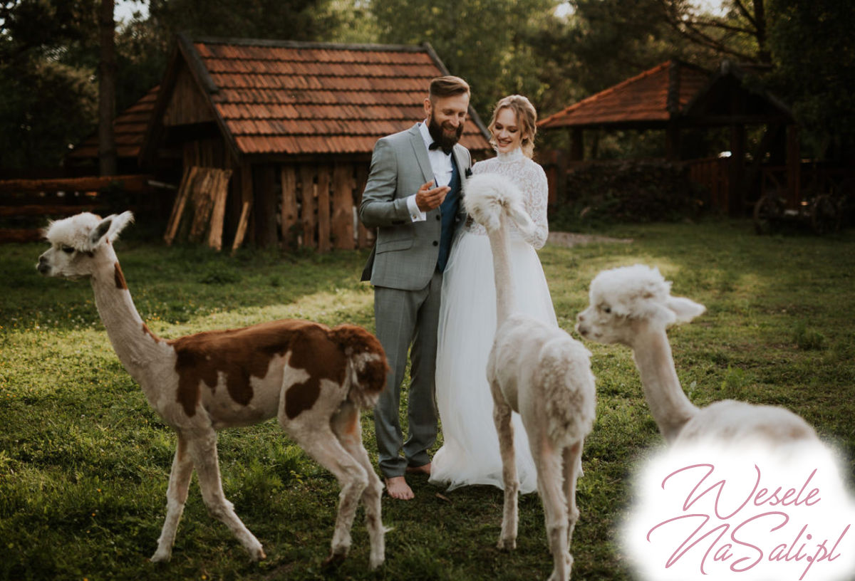 gospoda, ogród/taras